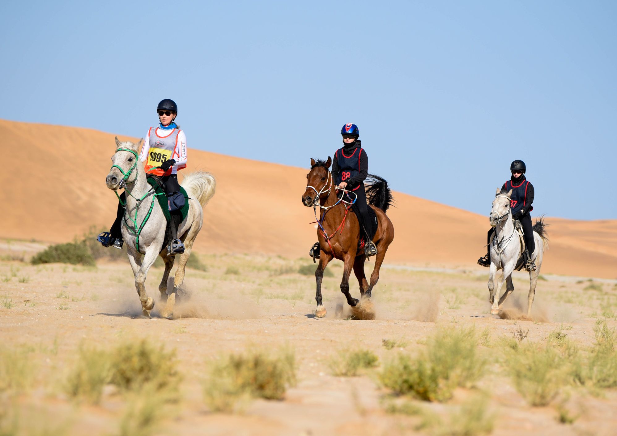 Highlights (101 of 231)_resized.jpg